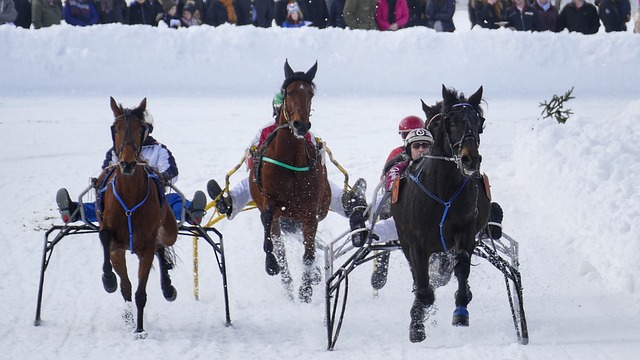 乐部过去的 乐部过去的