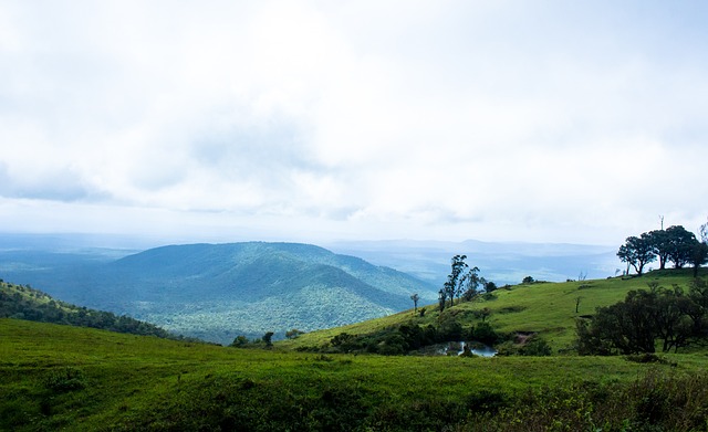 可与尊重 可与尊重