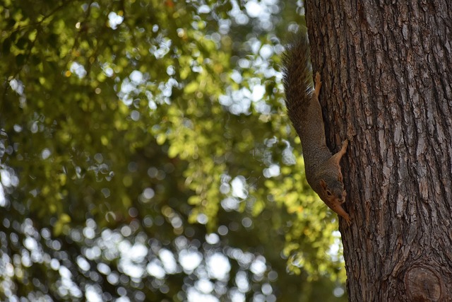 经济的支柱 经济的支柱
