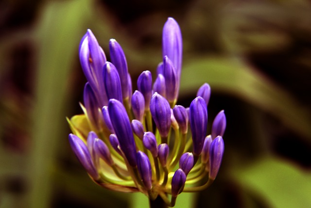 艰难摸爬滚 艰难摸爬滚