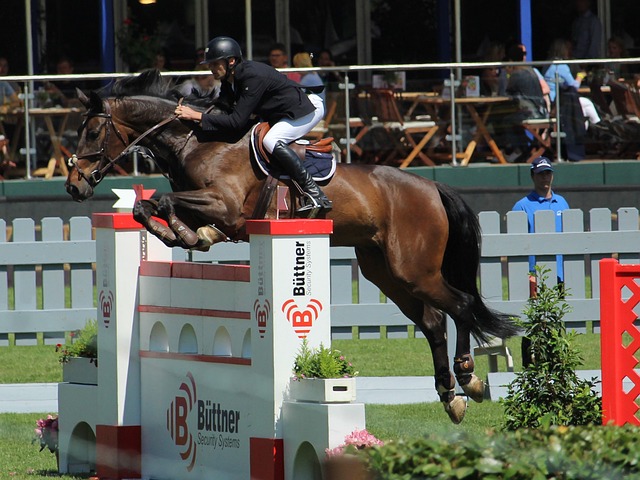 却始终挥之 却始终挥之