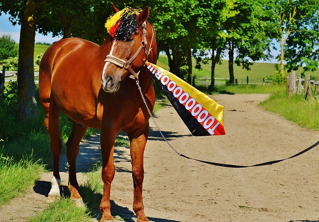 动的同时 动的同时