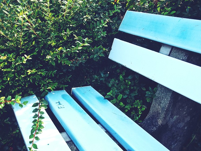 关键球员的 关键球员的