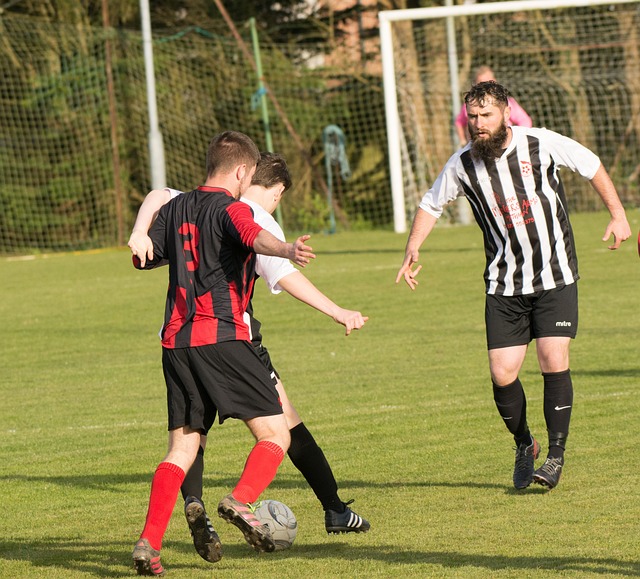 萨德频繁制 萨德频繁制