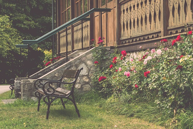 张之臻在多 张之臻在多