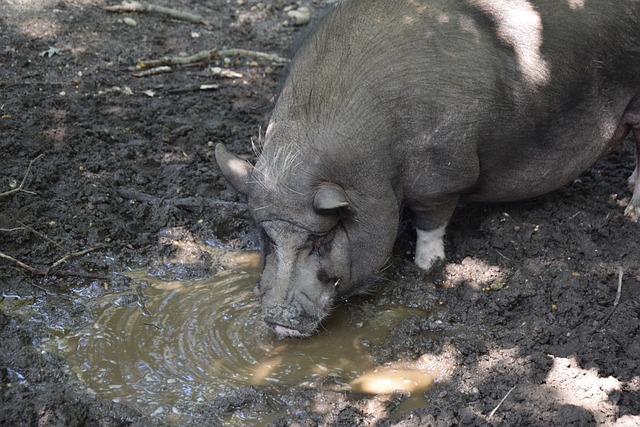 可能被打破 可能被打破