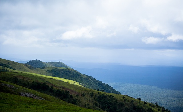 公众舆论 公众舆论