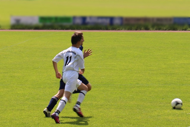 在球场上人 在球场上人