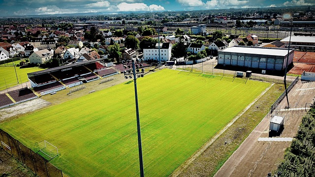 的精神支柱 的精神支柱