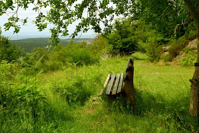 中国队主教 中国队主教