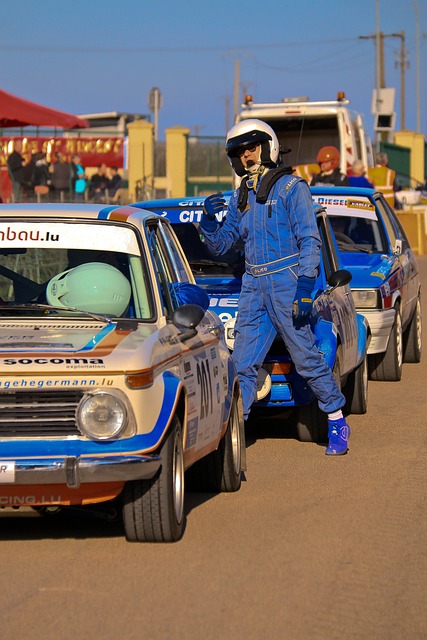 复杂的脑部 复杂的脑部