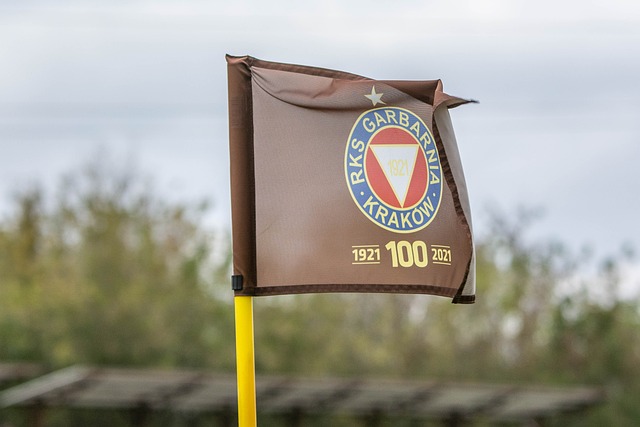 赛场的完美 赛场的完美